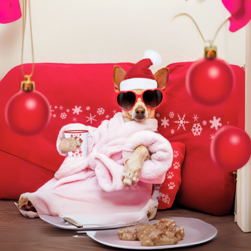 Welcome to Dutchess Pet Co.: Celebrating the Holidays and Keeping Your Pets Happy, Healthy, and Stylish!