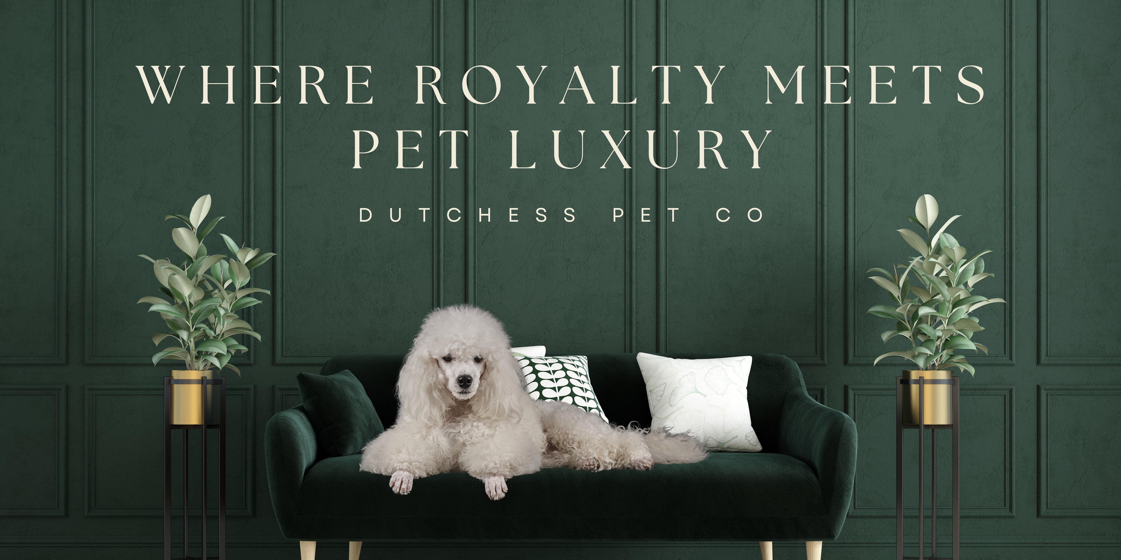 A luxurious green interior with a royal-looking white poodle lounging on a velvet sofa, flanked by elegant potted plants. The text above reads, ‘Where Royalty Meets Pet Luxury - Dutchess Pet Co.’”